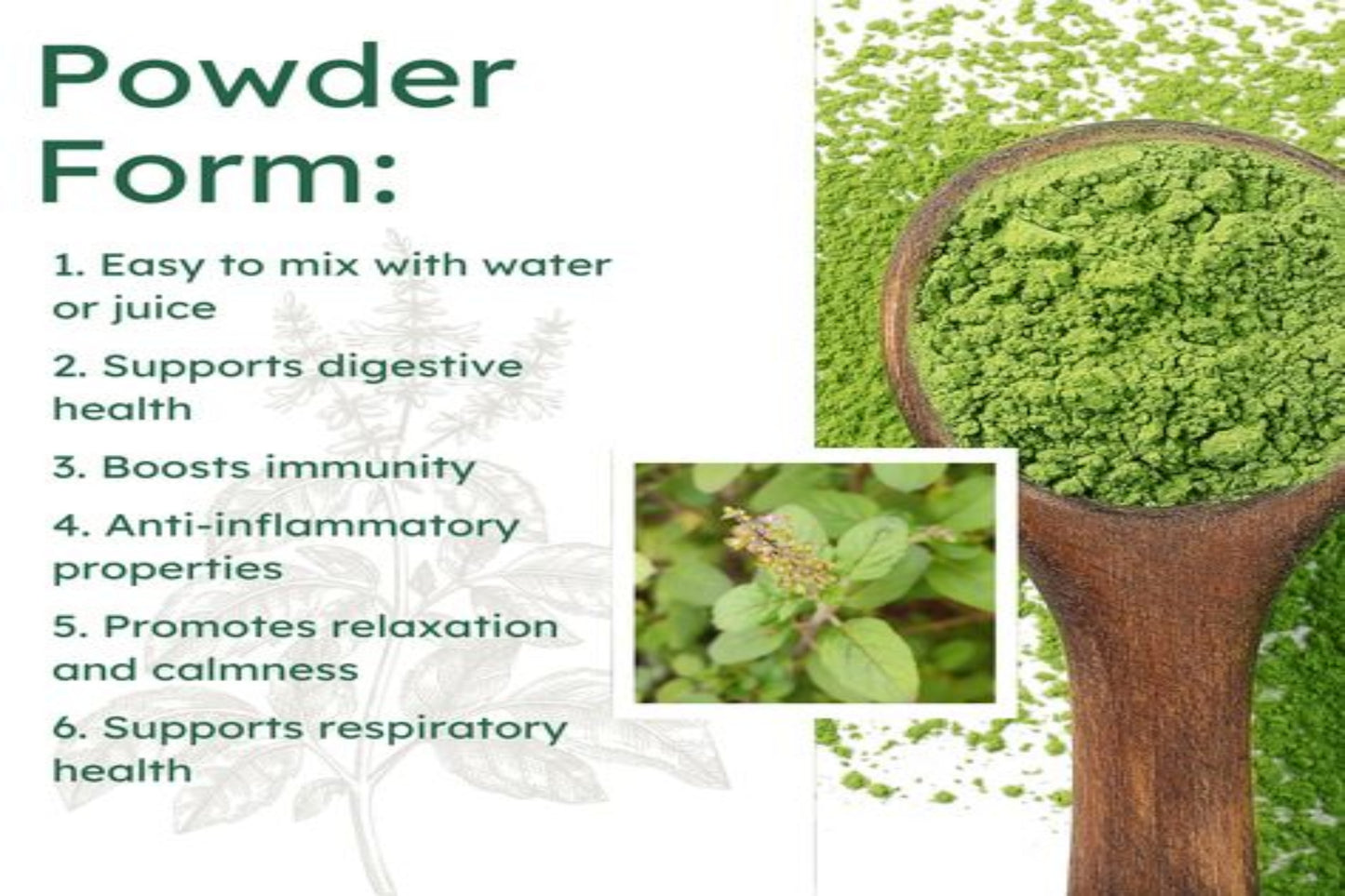 Tulsi Powder