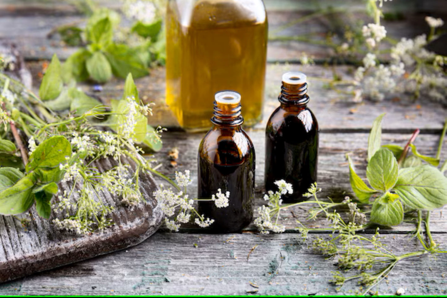 Basil Oil