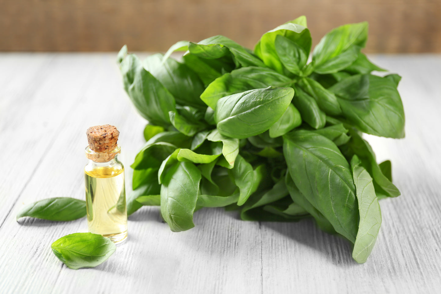 Basil Hydrosol