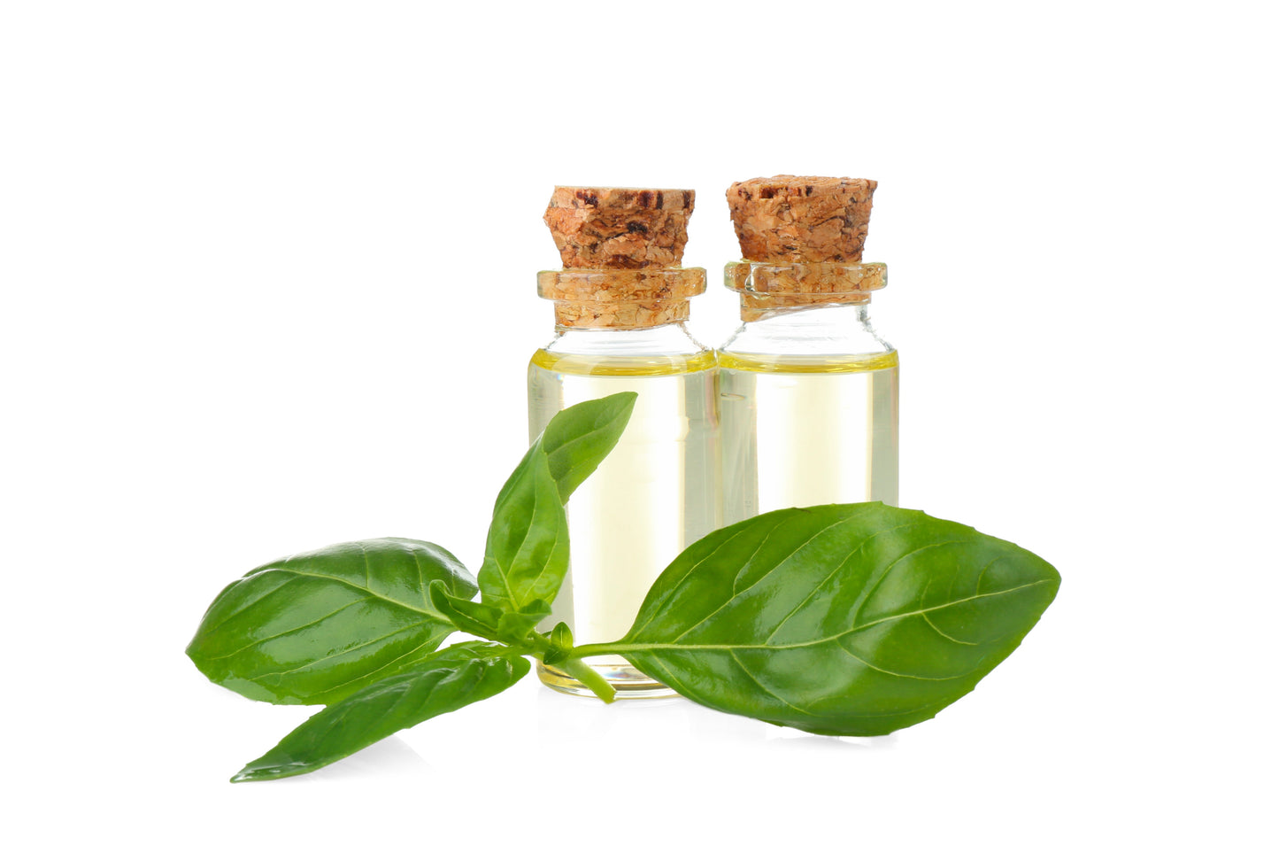 Basil Hydrosol