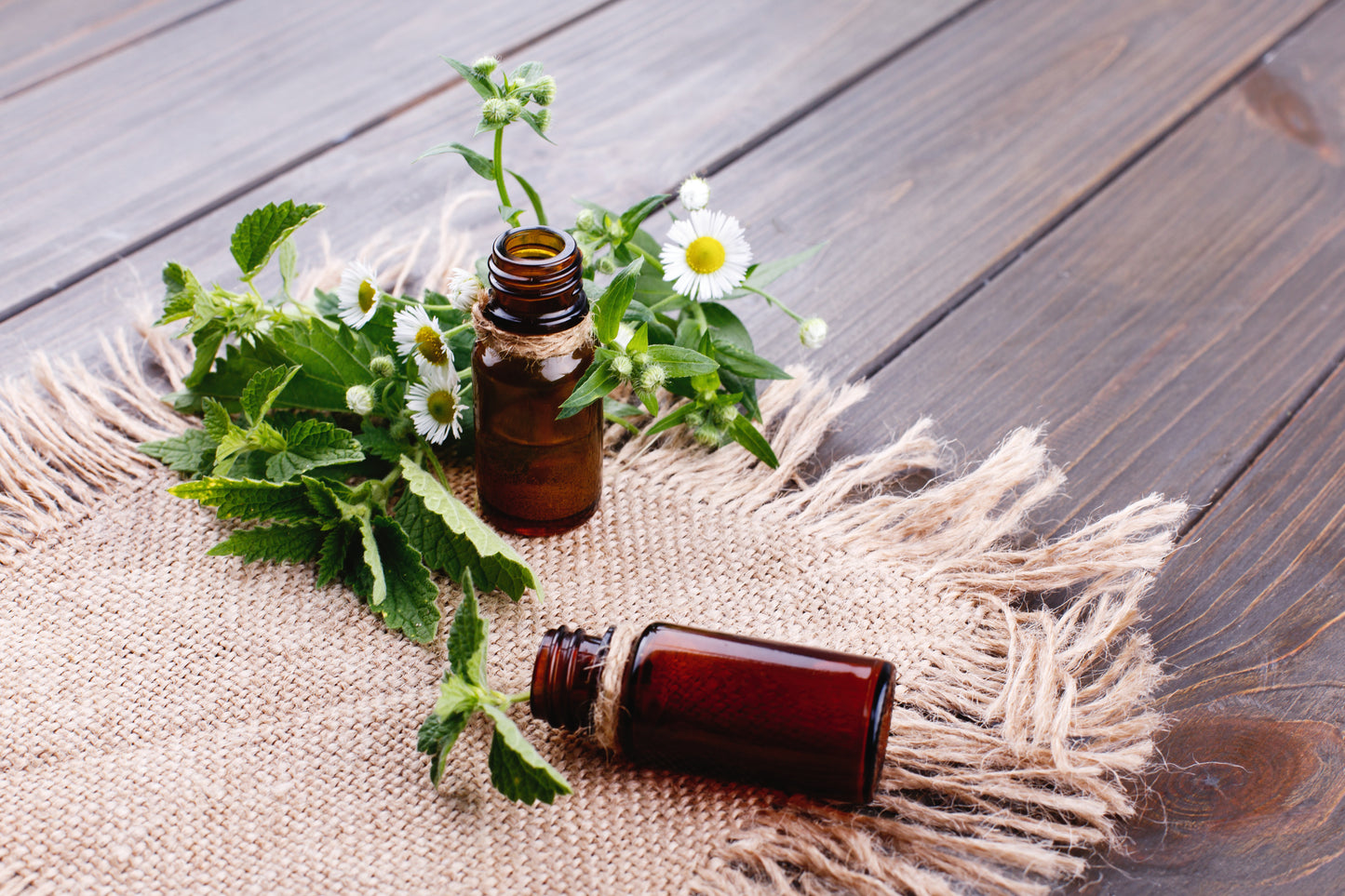 Peppermint Essential Oil