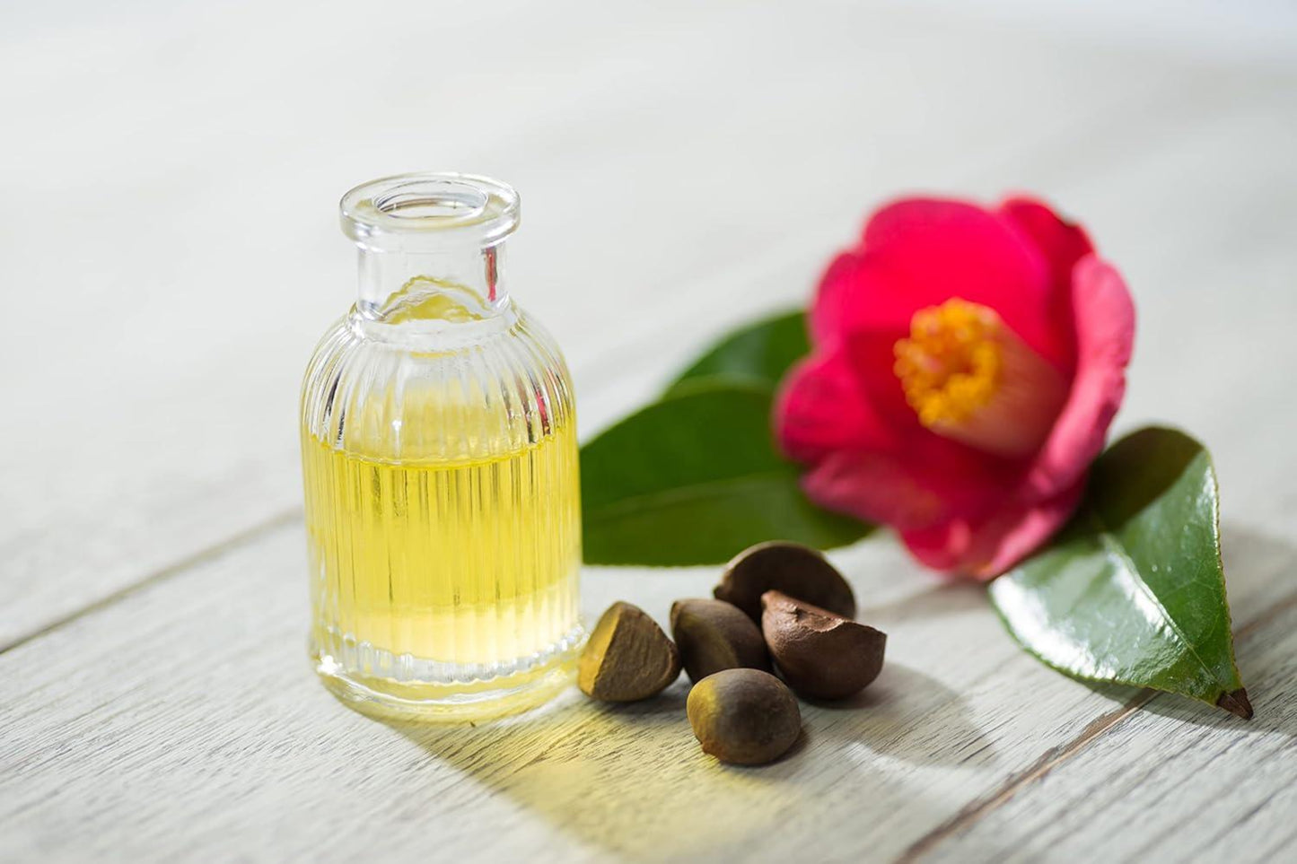 Camellia Oil