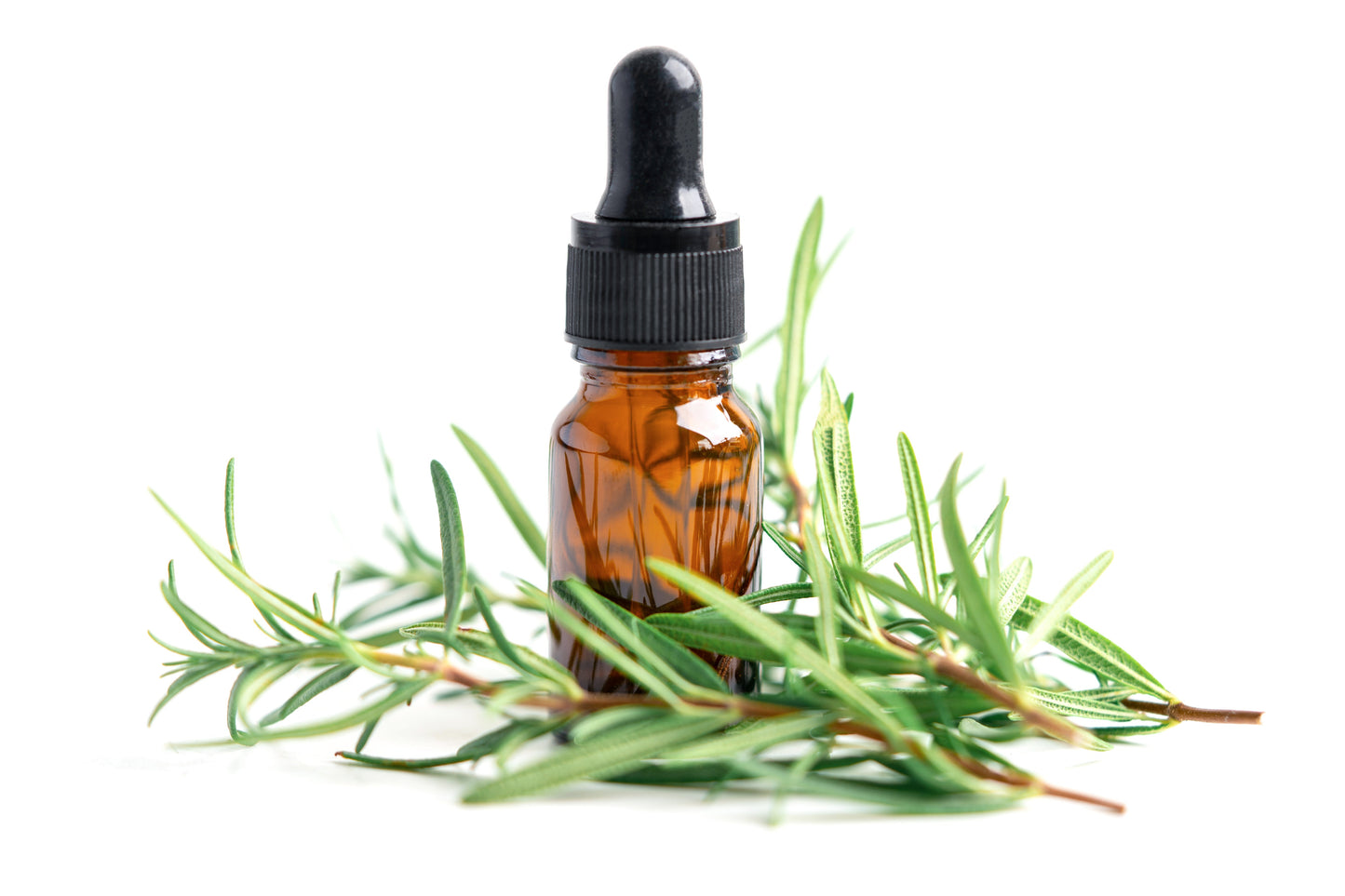 Tea Tree Essential Oil
