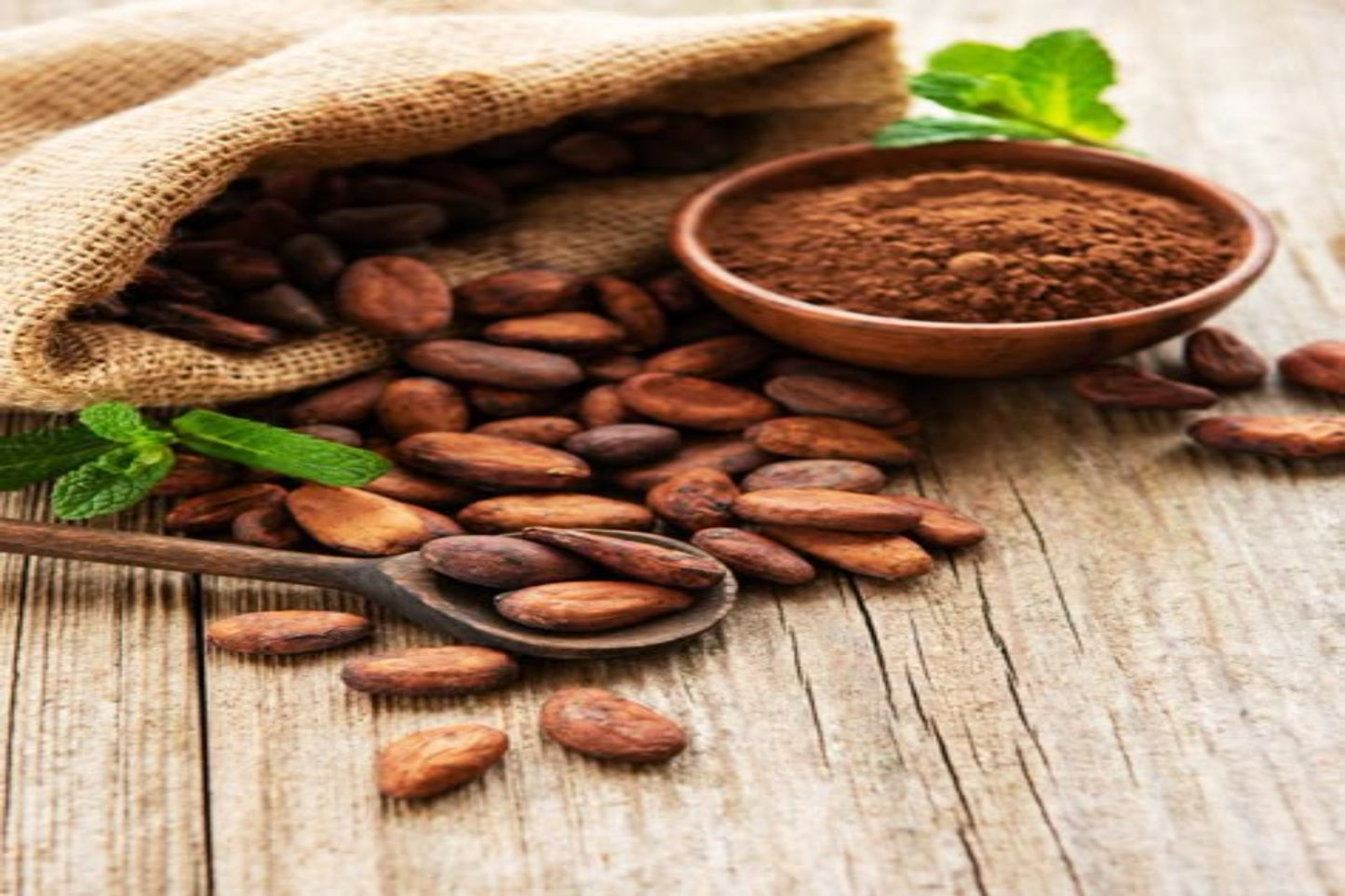 Cocoa Powder