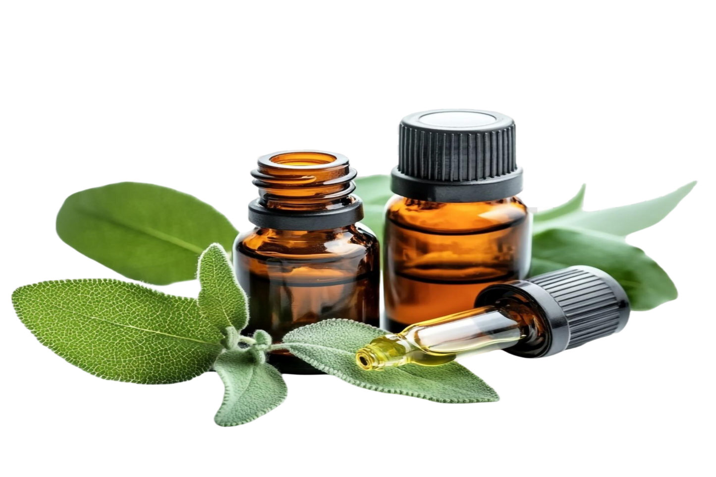 Eucalyptus Essential Oil