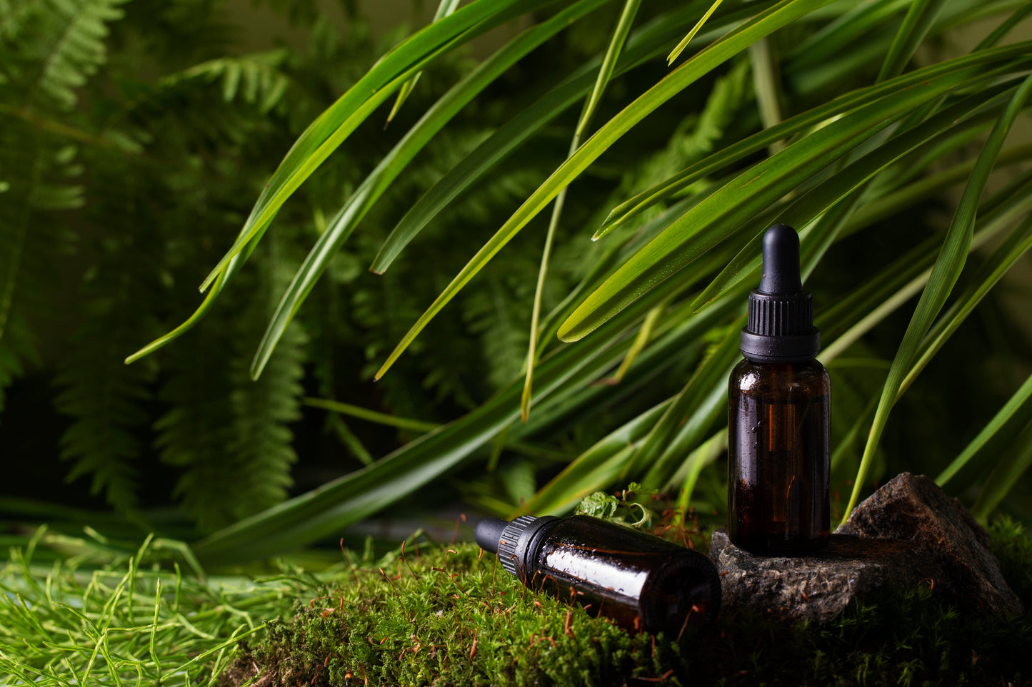 Tea Tree Essential Oil