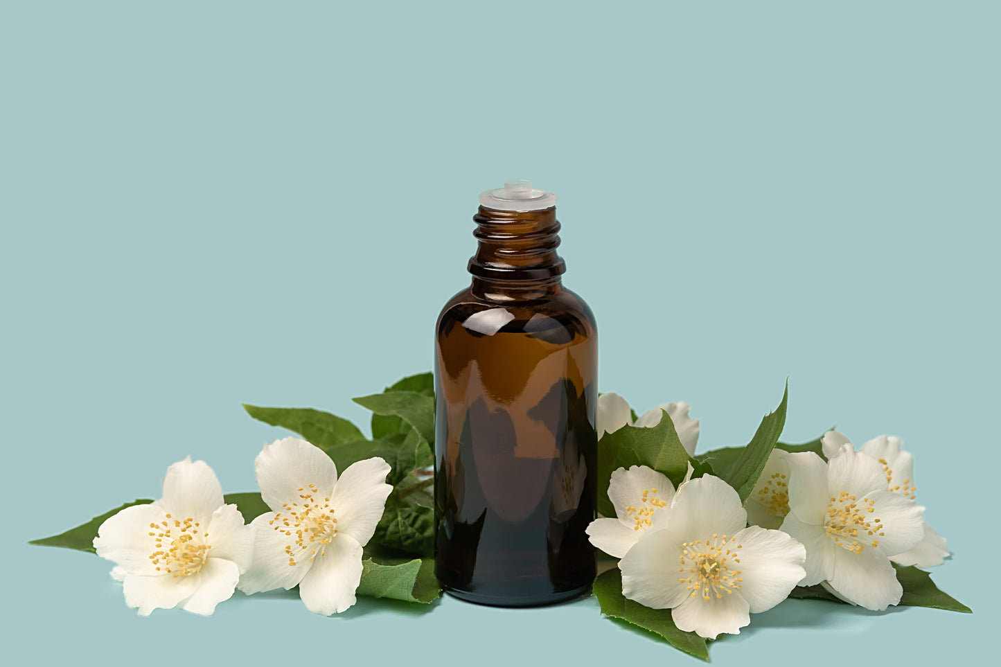 Jasmine Hydrosol