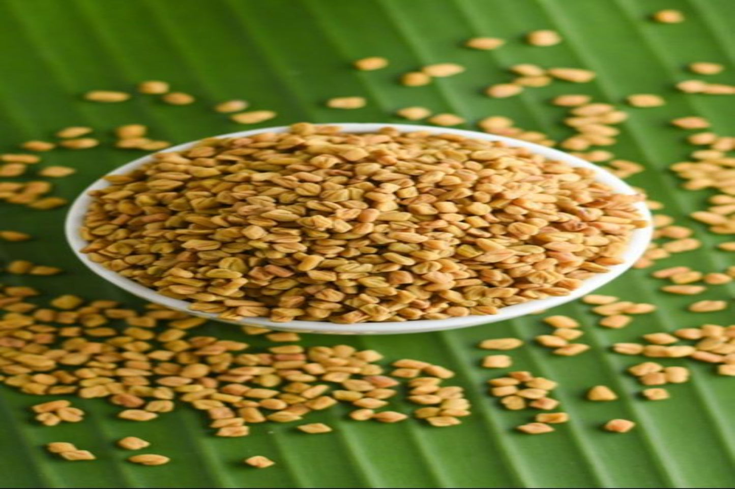 FENUGREEK POWDER