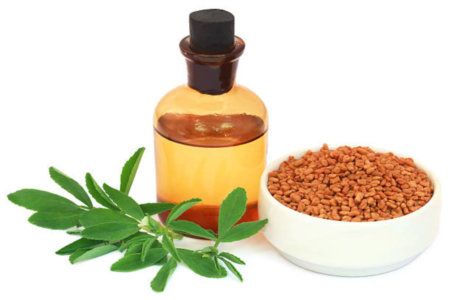 Fenugreek Oil
