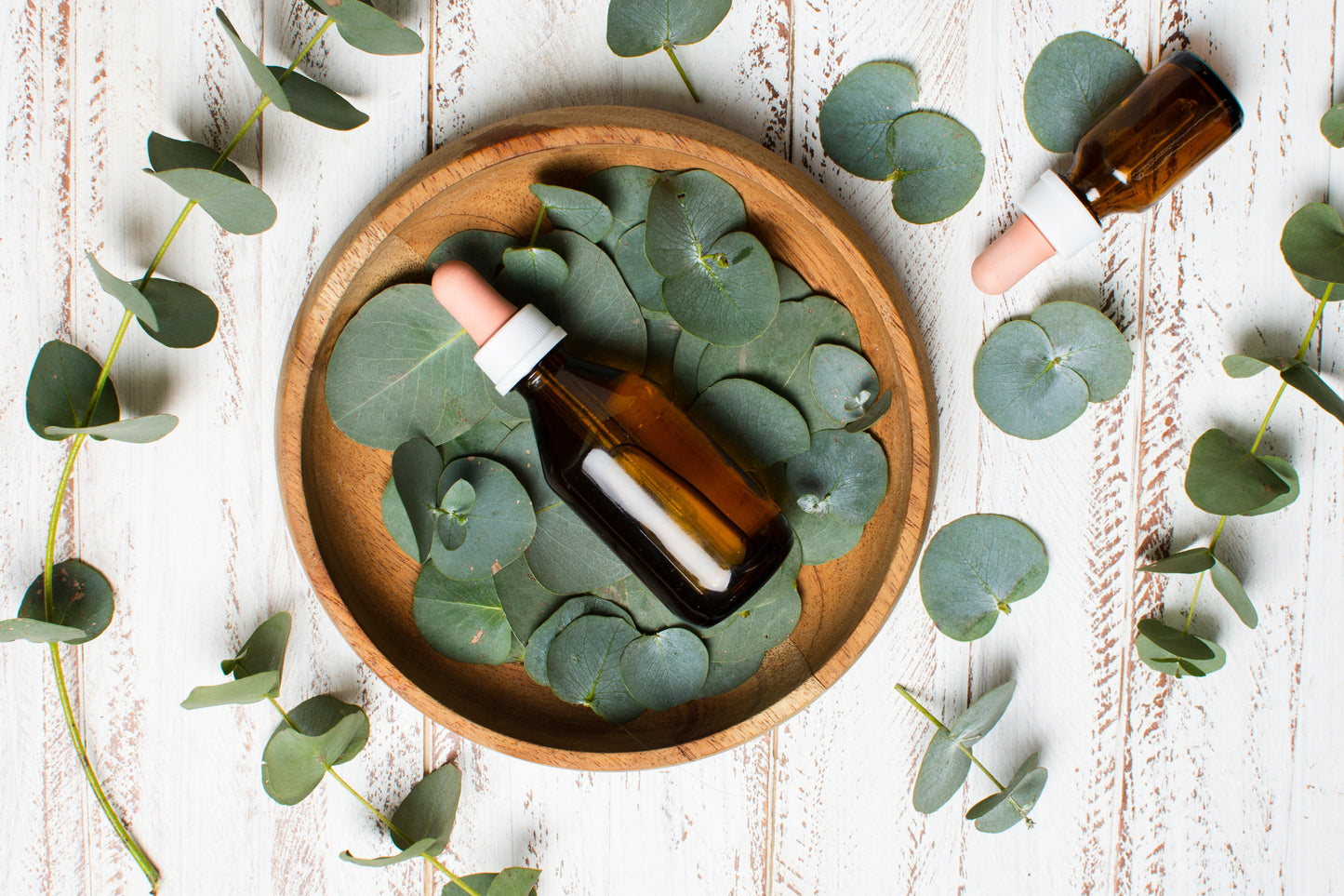 Eucalyptus Essential Oil
