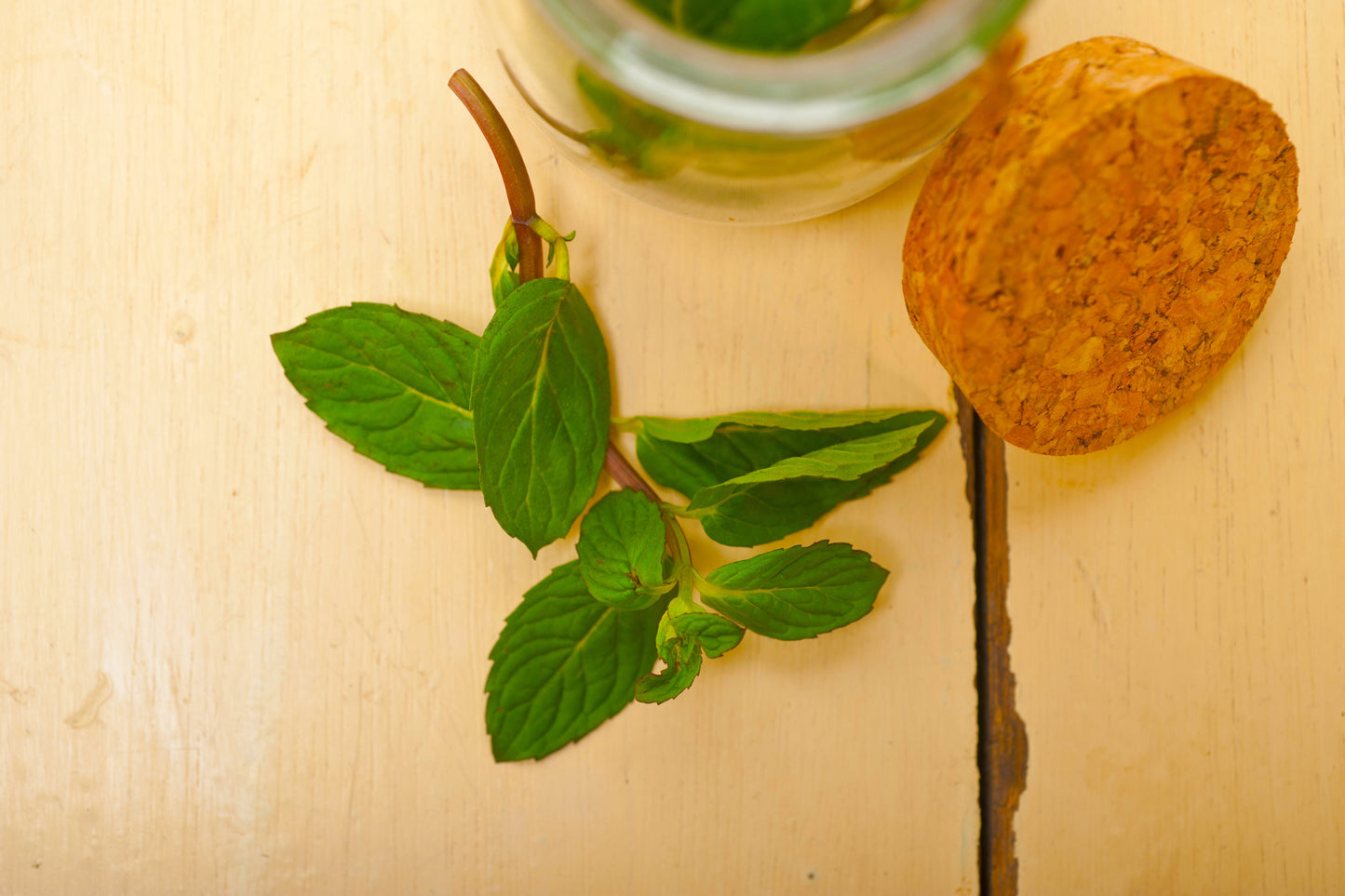Tulsi Extract