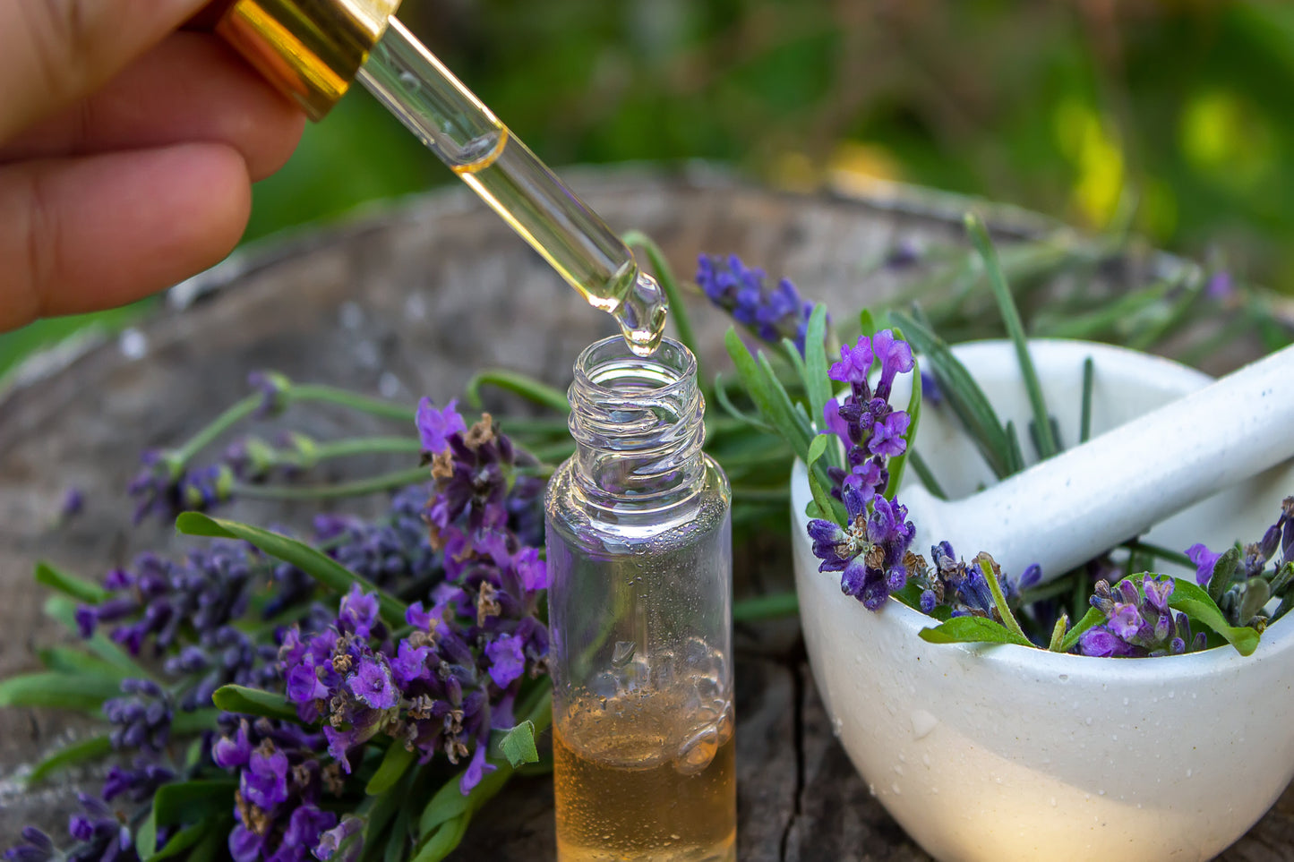 Lavender Extract