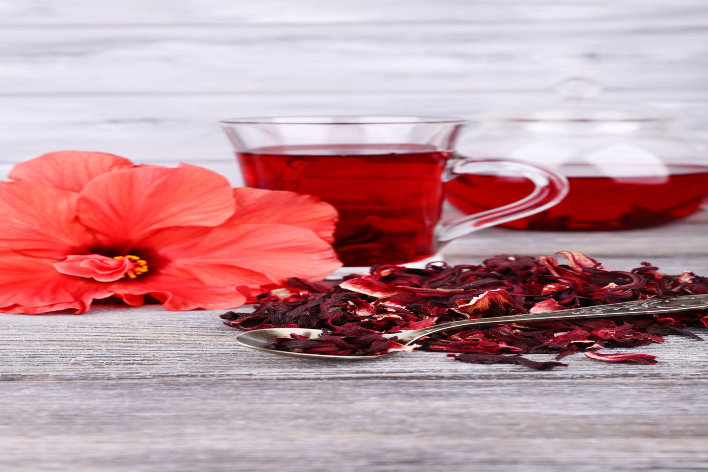 Hibiscus Extract