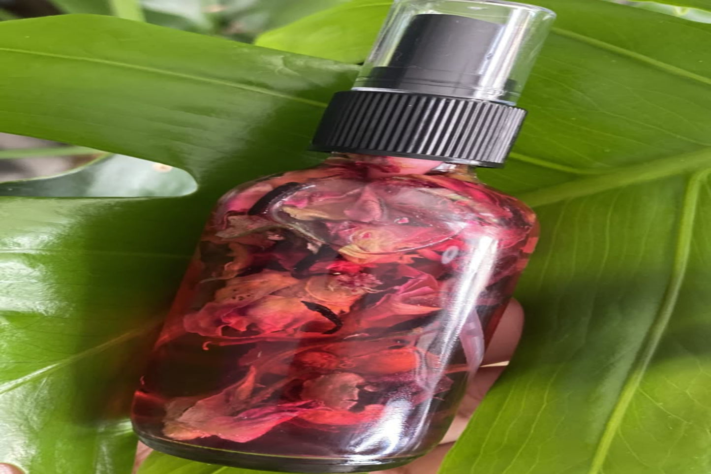 Hibiscus Oil