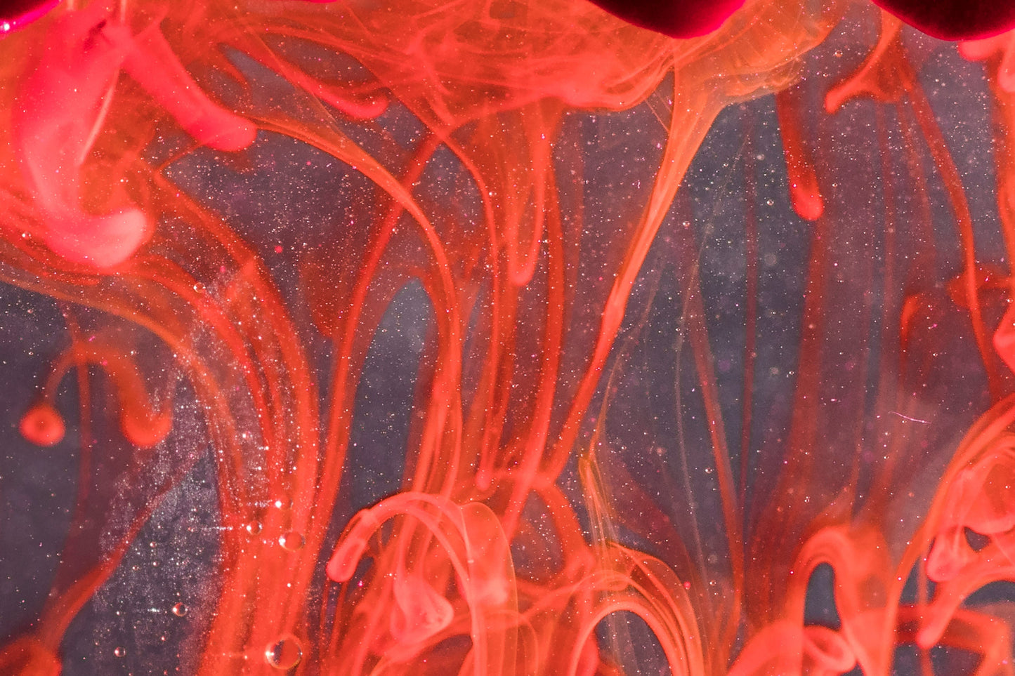 Orange Red Water-Based Liquid Color