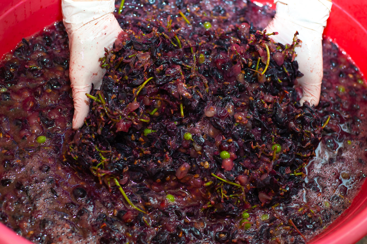 Red Grapes Extract