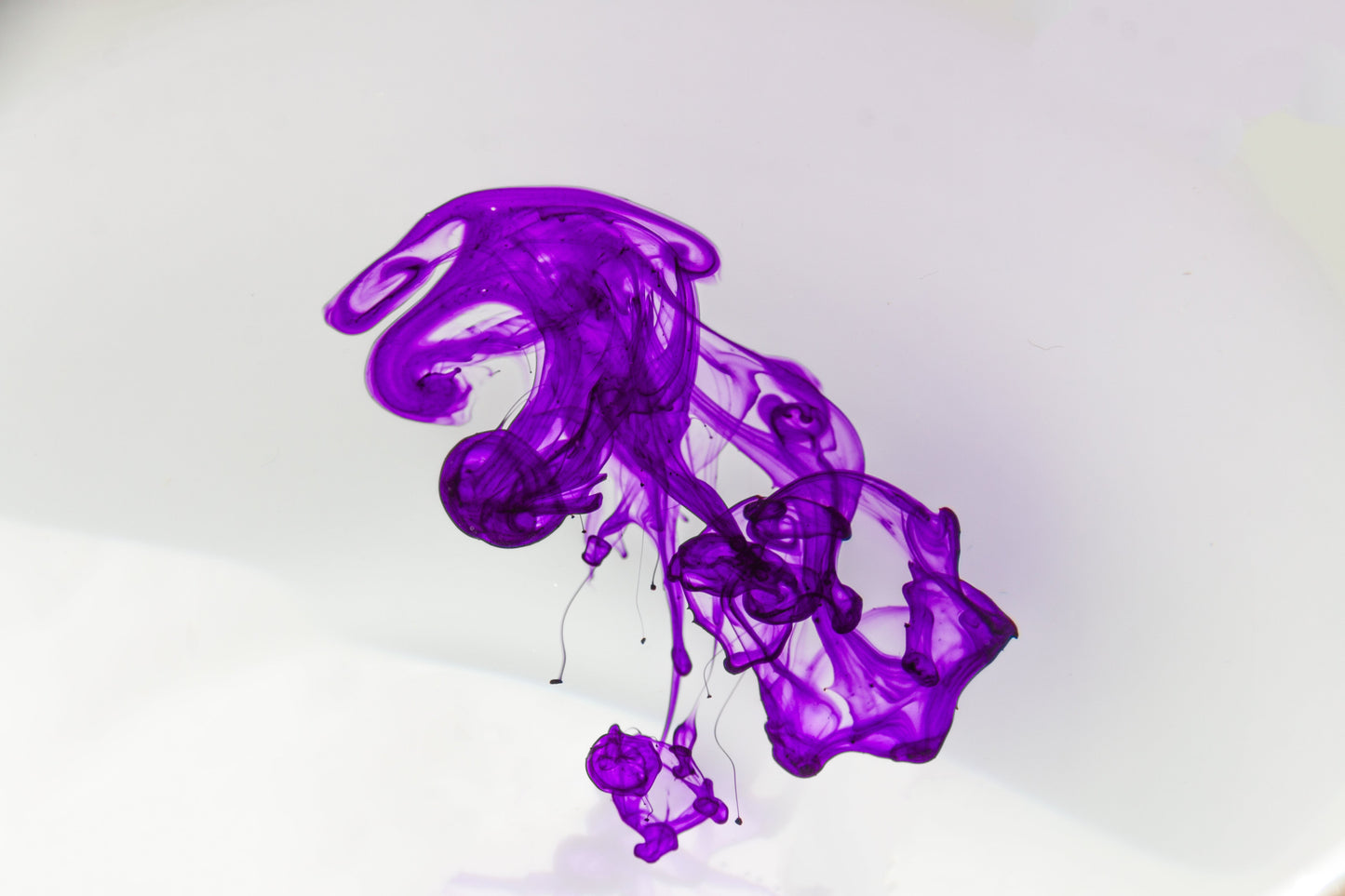 Purple Water-Based Liquid Color