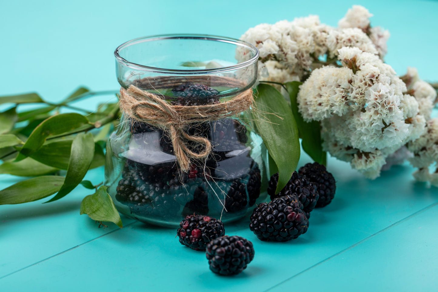 Blackberry Extract