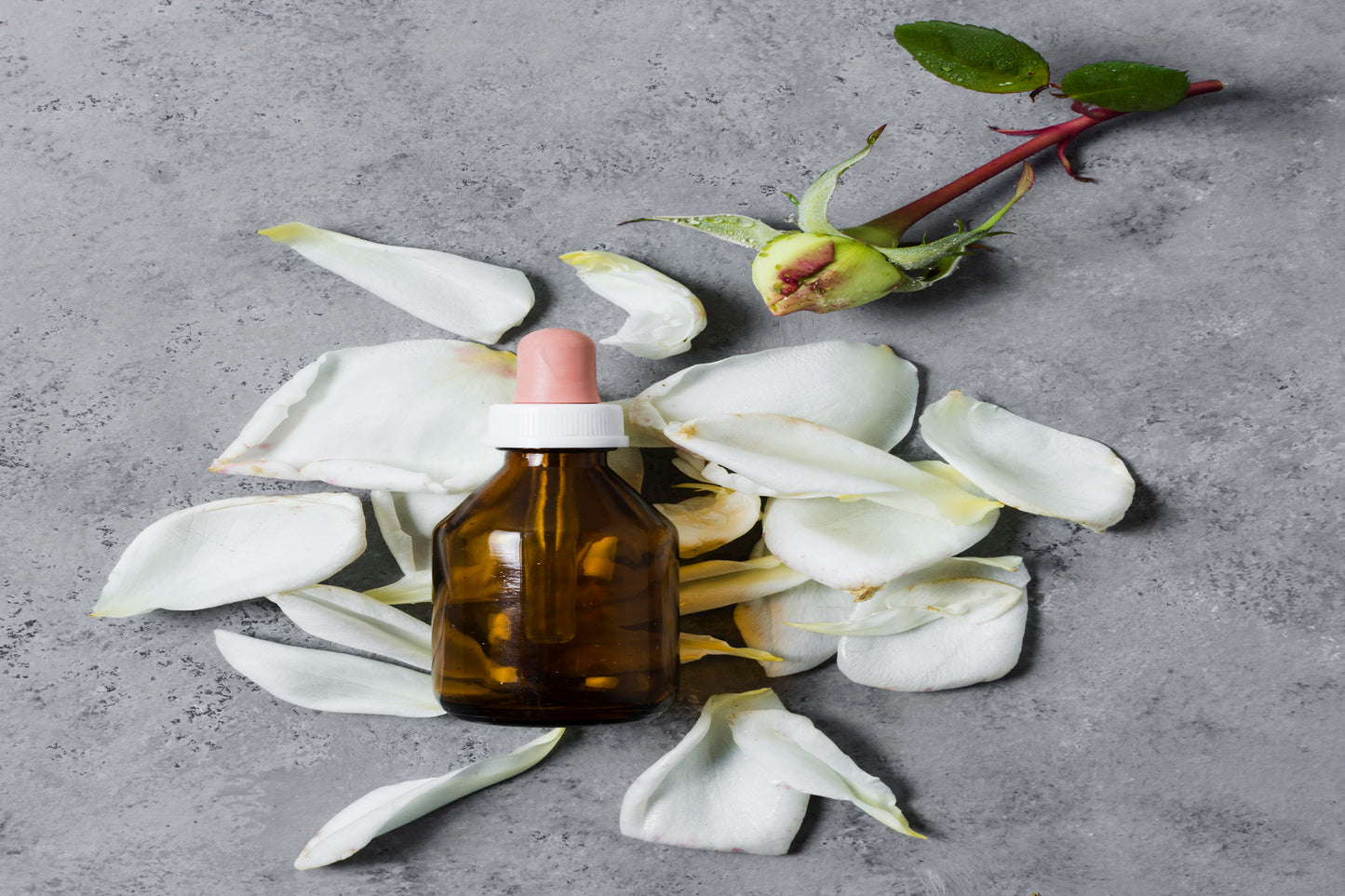 Geranium Hydrosol