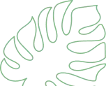 bg-image
