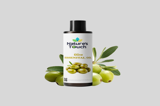 Olive Oil