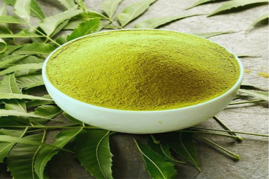 Tulsi Powder