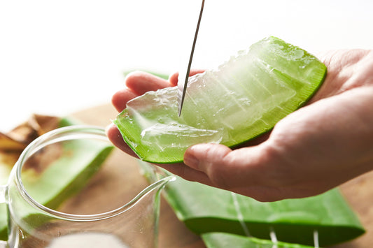 Aloe Vera Extract
