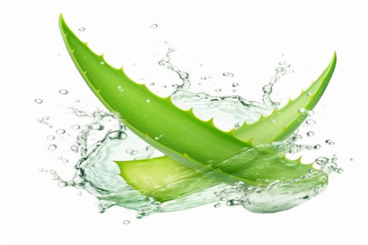 Aloevera Fragrance Oil