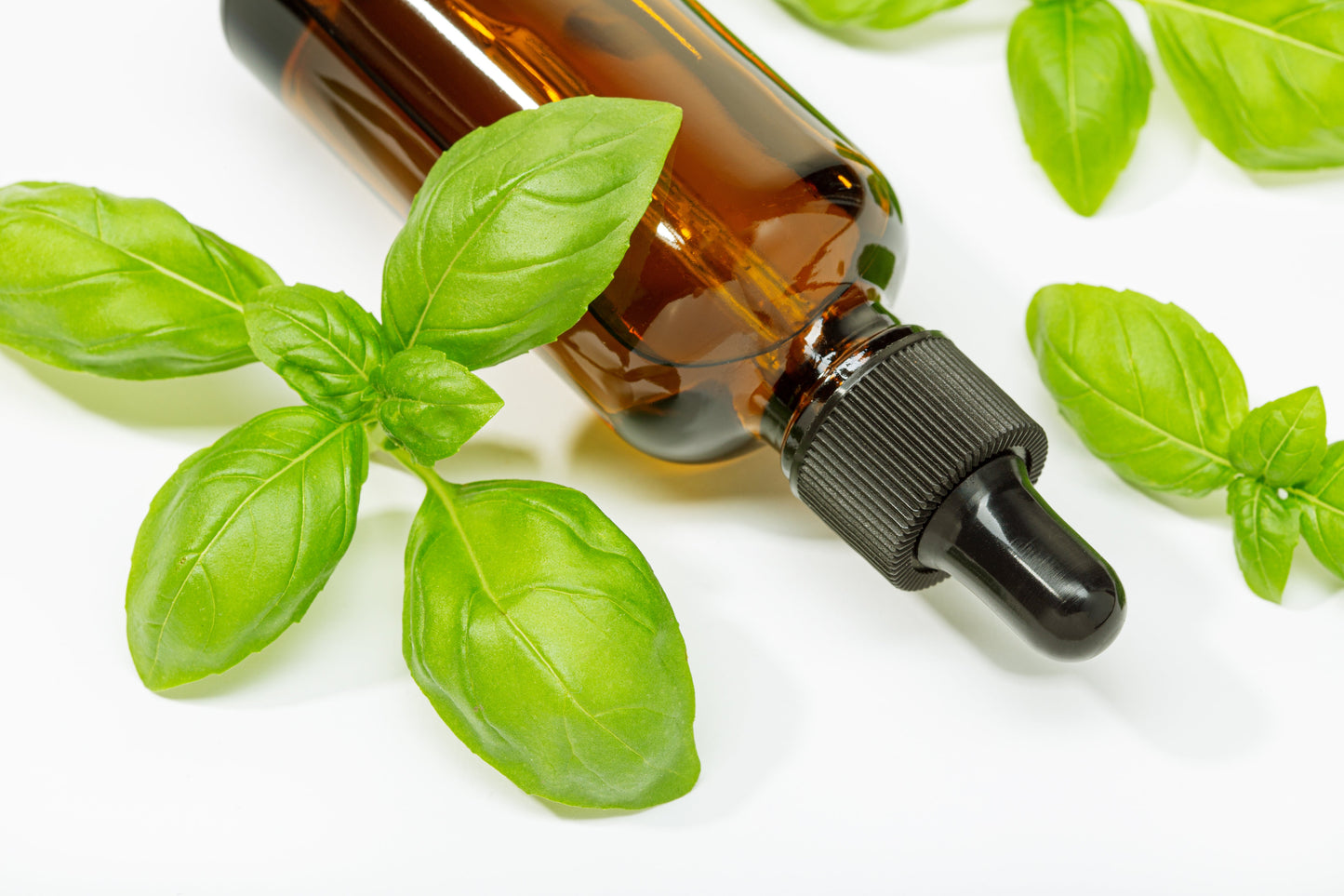 Basil Hydrosol