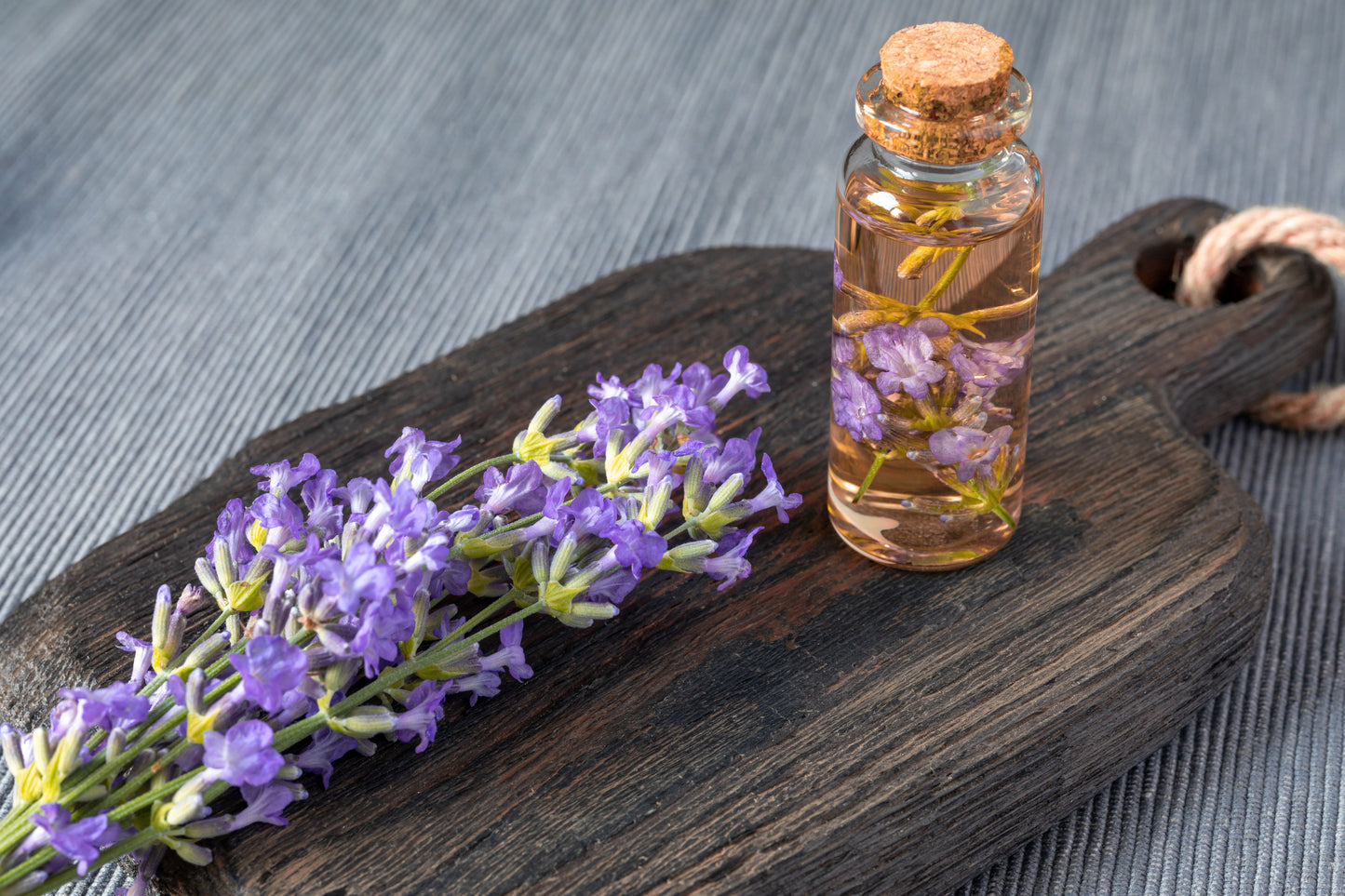 Lavender Extract