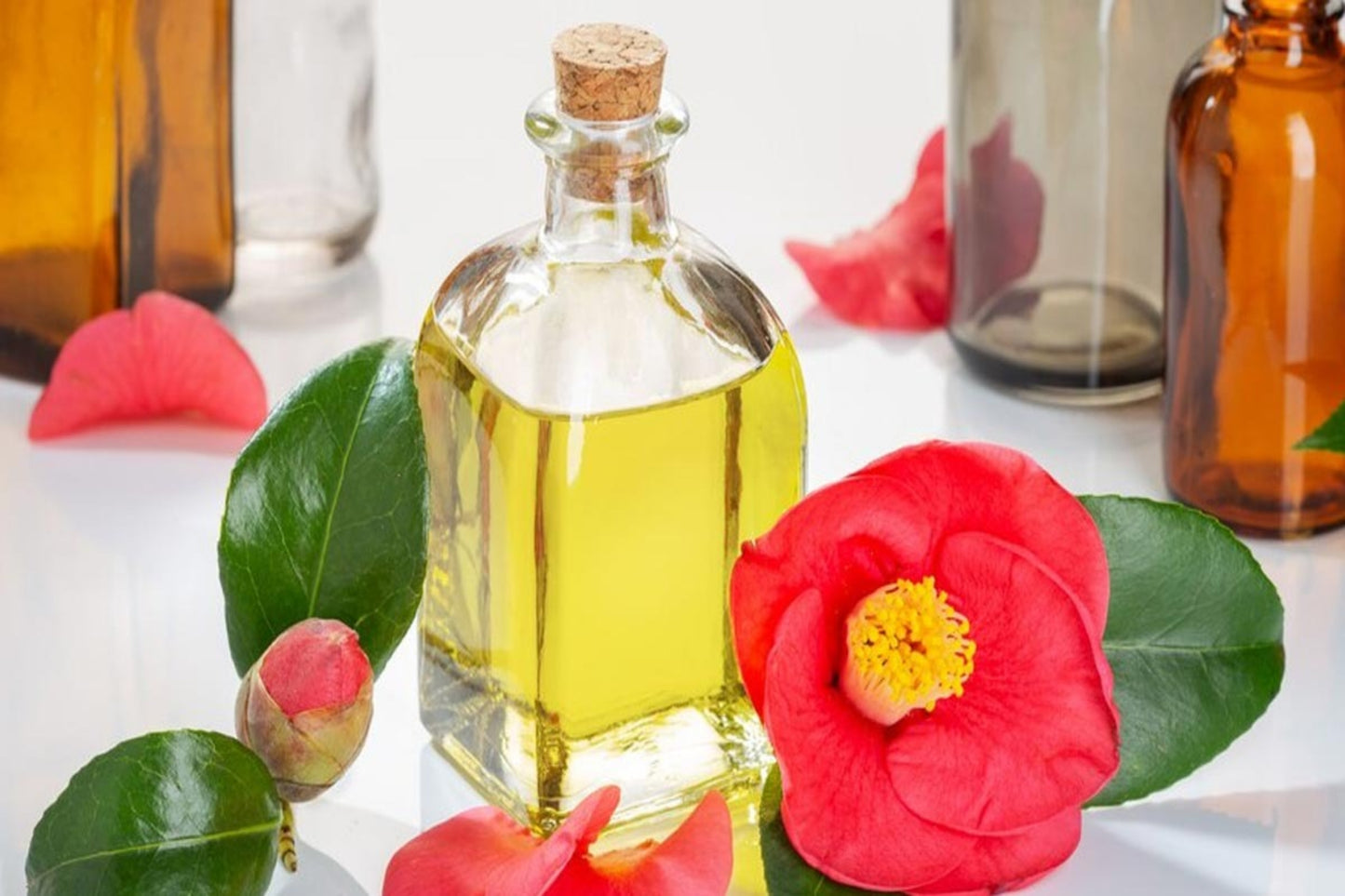 Camellia Oil