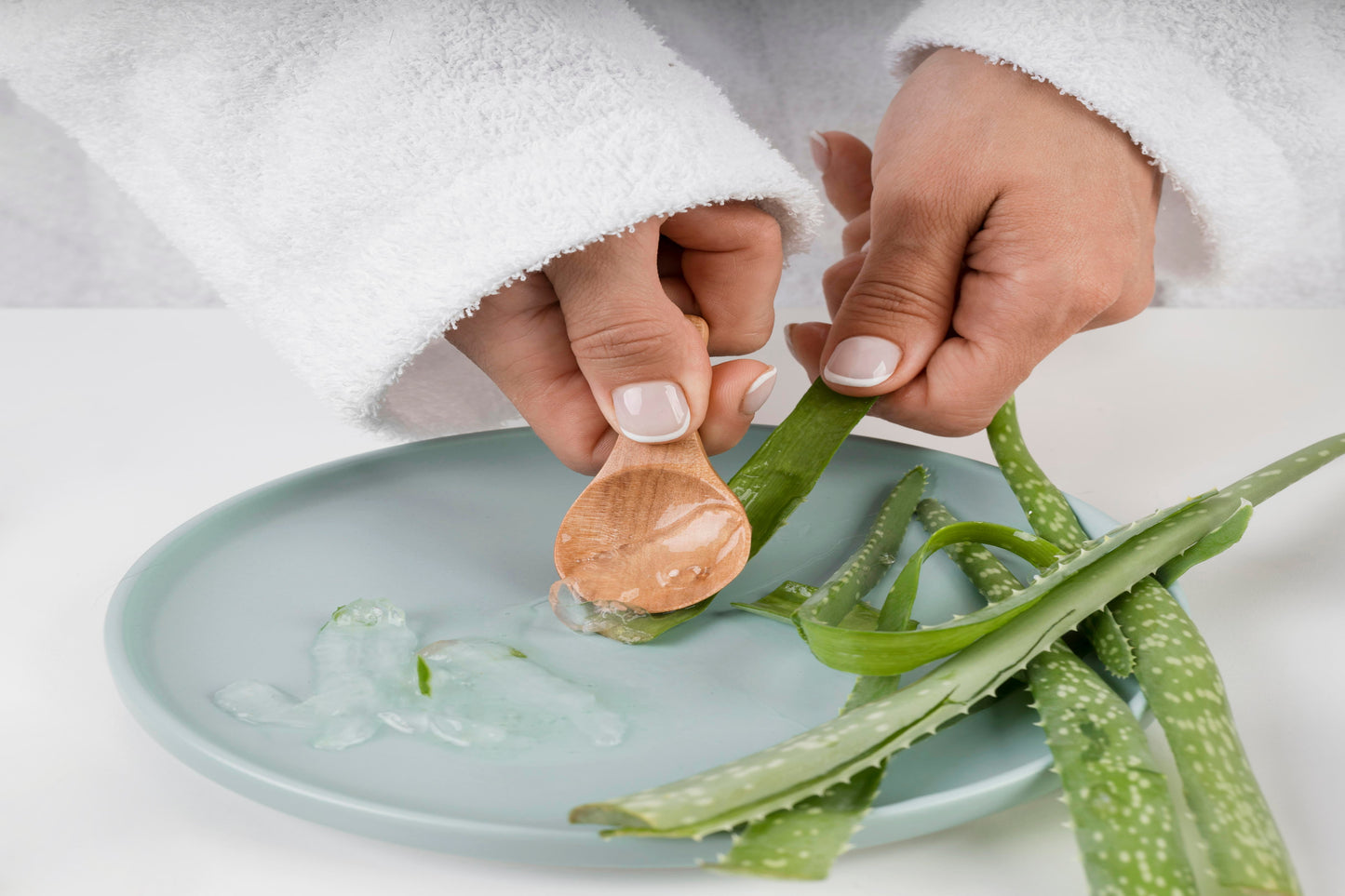 Aloe Vera Extract
