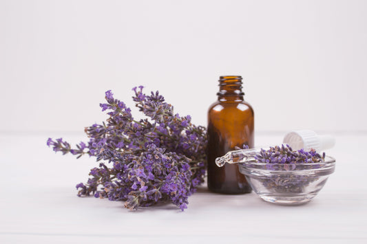 Lavender Essential Oil