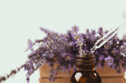 Lavender Extract