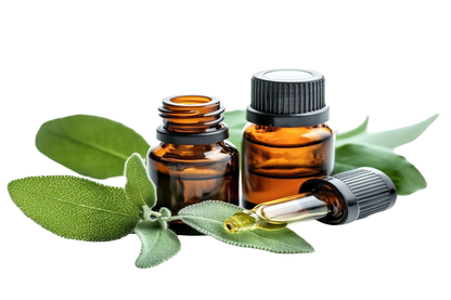 Eucalyptus Essential Oil