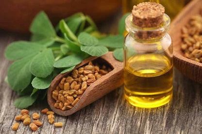 Fenugreek Oil