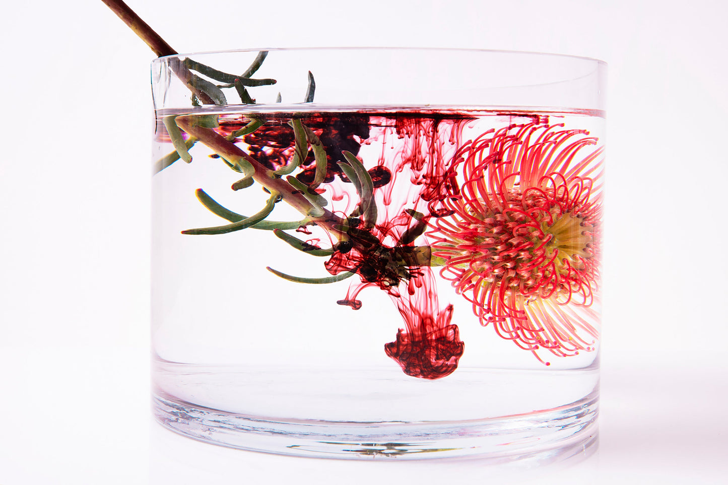 Geranium Hydrosol