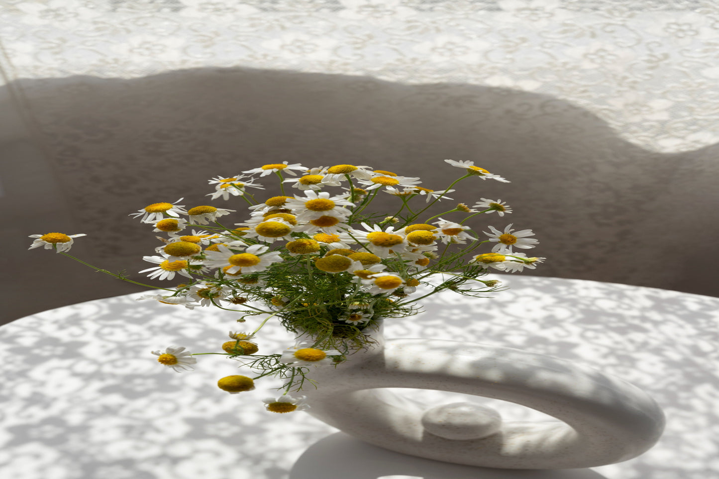 Chamomile Hydrosol