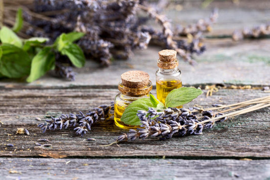Lavender Fragrance Oil