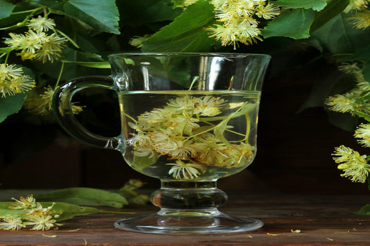Witch Hazel Extract
