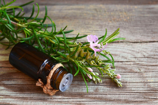 Rose Mary Extract
