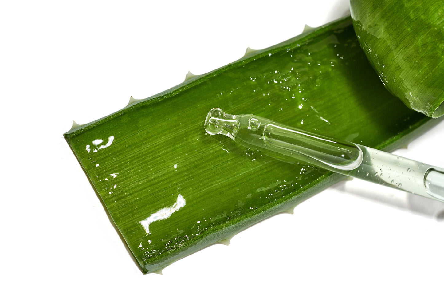 Aloe Vera Hydrosol