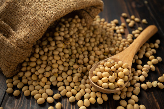 Soya Protein Extract